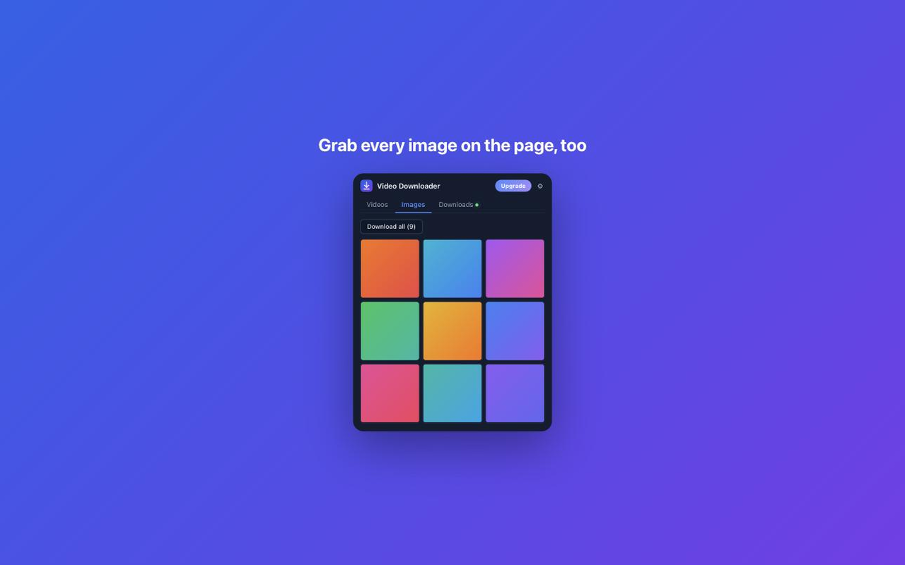 Bulk image download