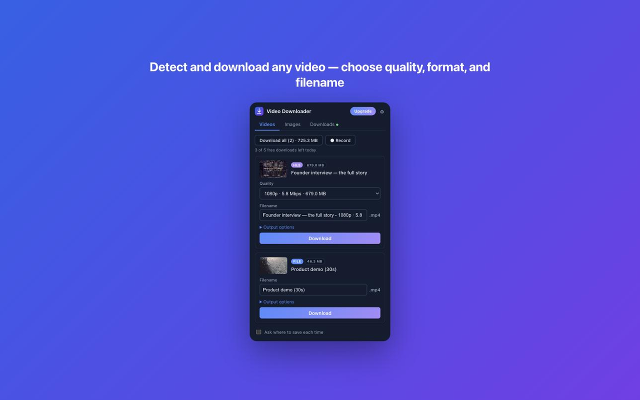 Detected videos with quality and format options